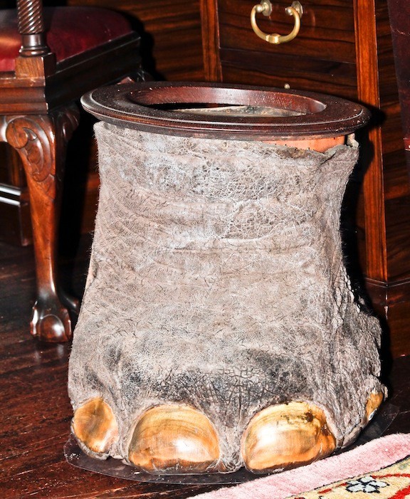 Another interesting item in the North Room, is this elephant's foot that was turned into a wastepaper basket. It is located near the windows.