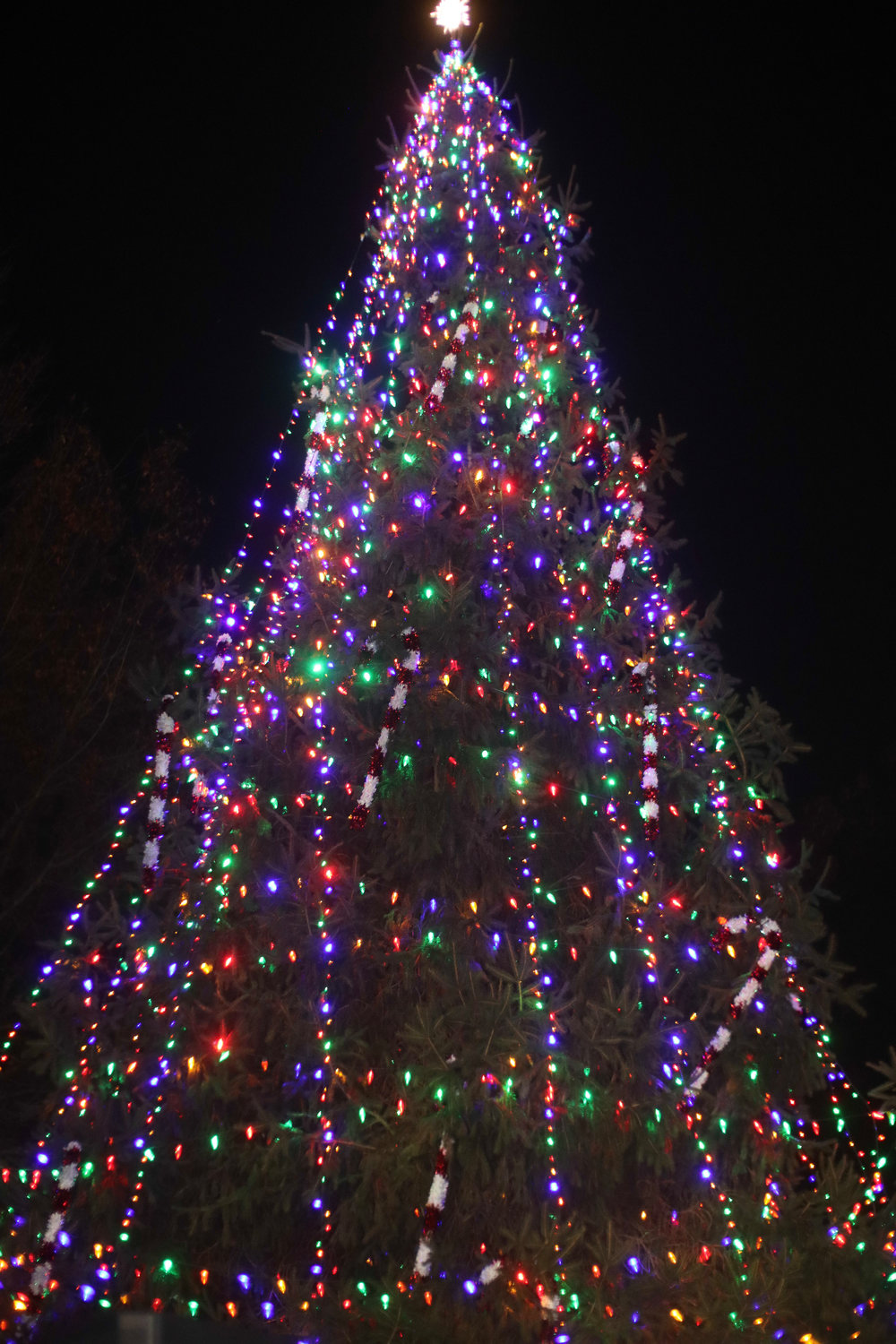 The Christmas tree lit up at Arthur J. Hendrickson Park kicking off the village’s annual Winterfest ccelebration.